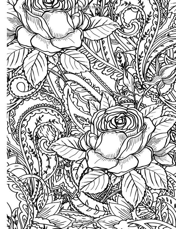 Roses Coloring Pages For Adults
 271 best Rose Art coloring pages images on Pinterest