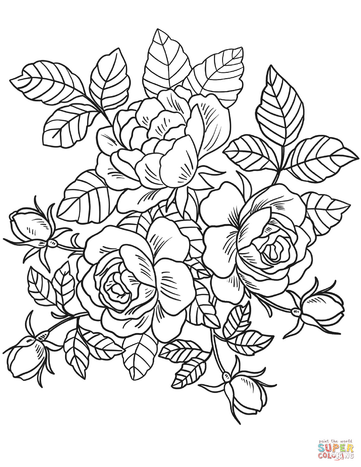 Roses Coloring Pages For Adults
 Roses Flowers coloring page