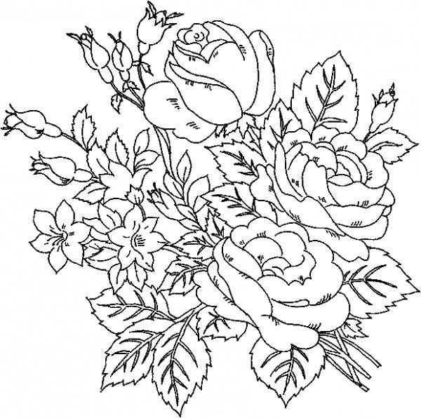 Roses Coloring Pages For Adults
 Beautiful Roses Flower Coloring Page NetArt
