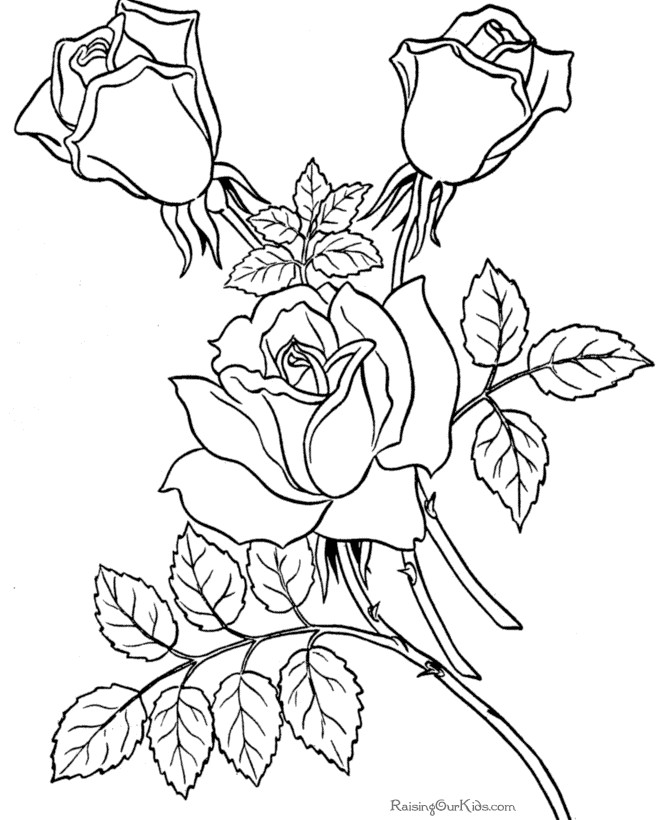 Roses Coloring Pages For Adults
 Free coloring pages sheets of Roses 007
