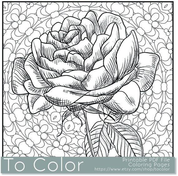 Roses Coloring Pages For Adults
 Items similar to Printable Rose Coloring Page for Adults