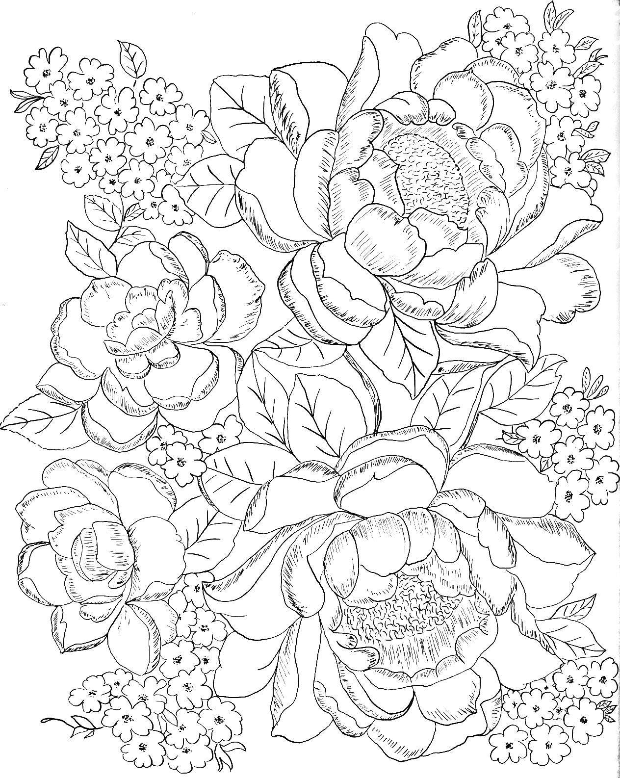 Download 23 Best Roses Coloring Pages for Adults - Home, Family ...