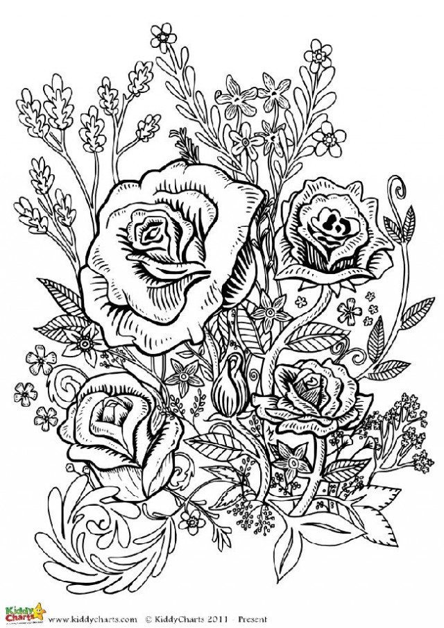 Roses Coloring Pages For Adults
 Four free flower coloring pages for adults