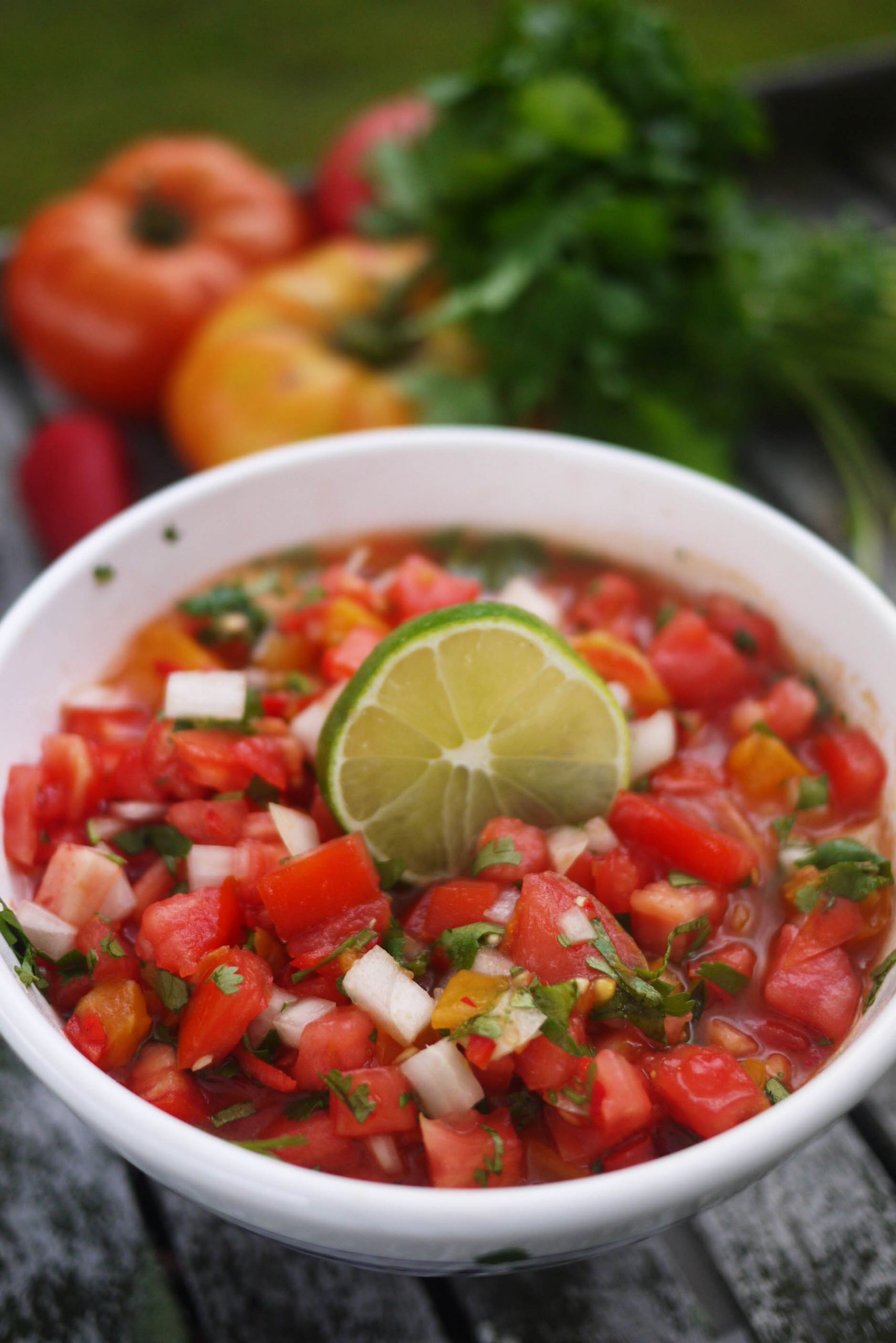 Salsa Mexicana Recipe
 Fresh Tomato Salsa Recipe The Buggy Blog