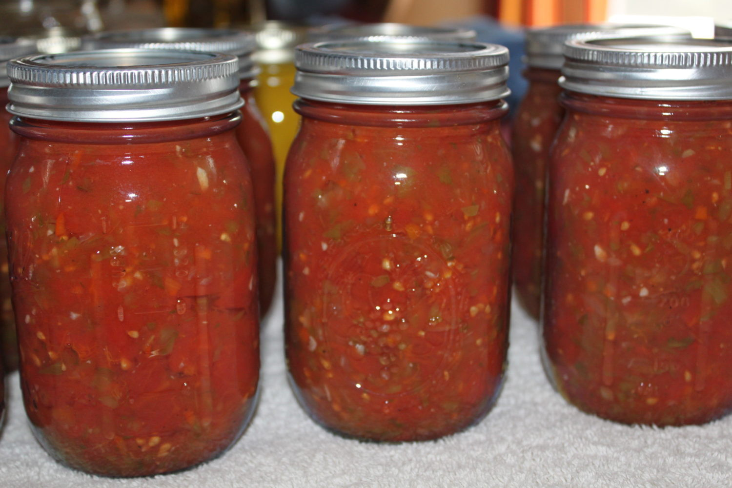 Salsa Recipe For Canning
 Classic Salsa Canning Recipe Made Straight From The Garden