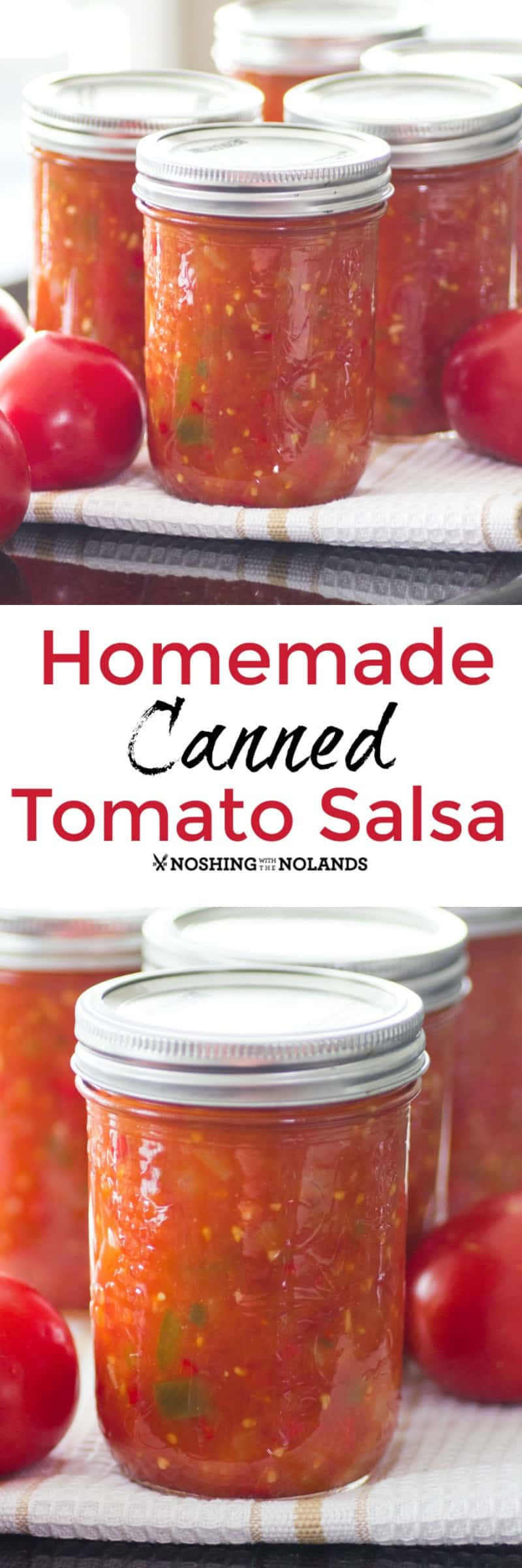 Salsa Recipe For Canning
 Homemade Canned Tomato Salsa is the best with fresh summer