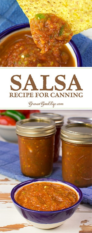 Salsa Recipe For Canning
 Tomato Salsa Recipe for Canning