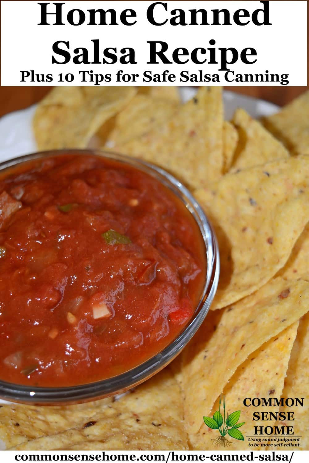 Salsa Recipe For Canning
 Home Canned Salsa Recipe Plus 10 Tips for Canning Salsa