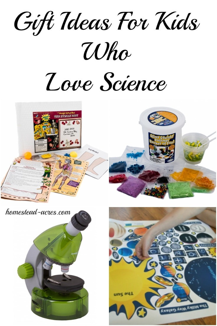 Science Gifts For Kids
 Gift Ideas For Kids Who Love Science Homestead Acres