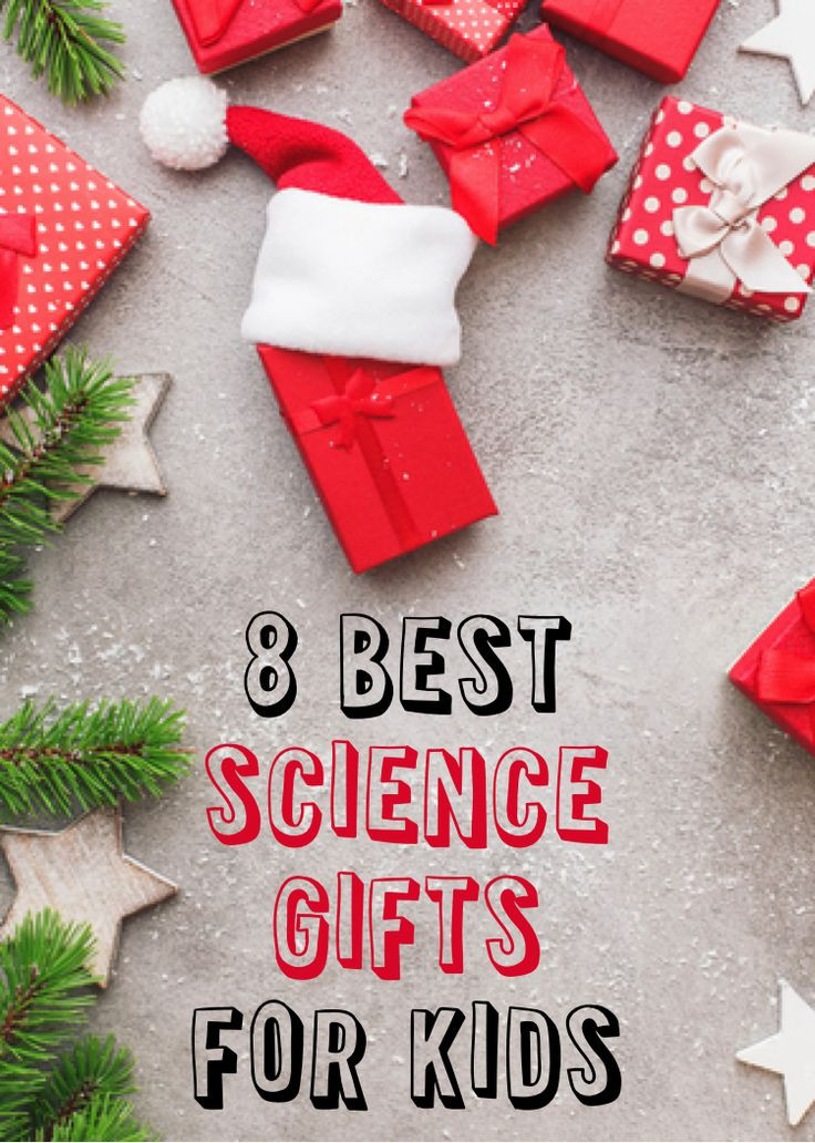 Science Gifts For Kids
 967 best Science Teacher Stuff images on Pinterest