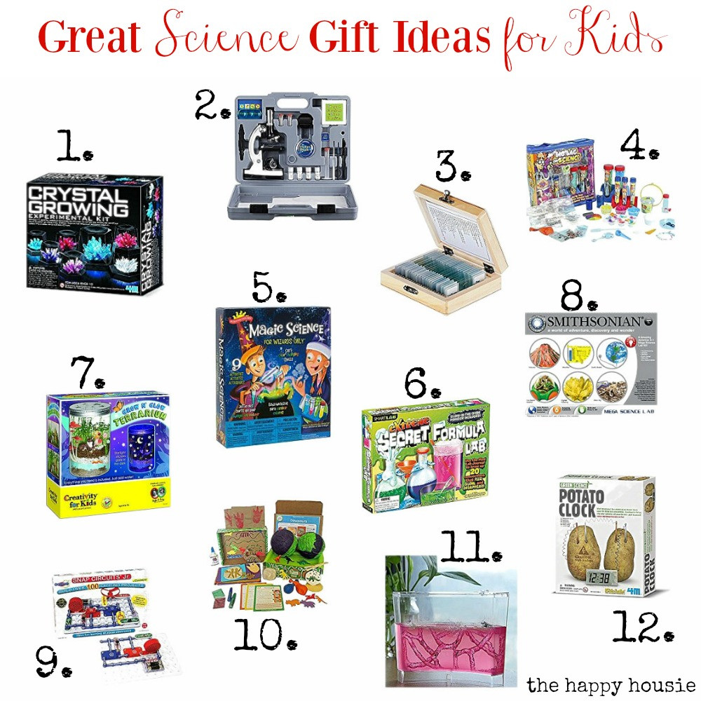 Science Gifts For Kids
 Great Science Gift Ideas for Kids