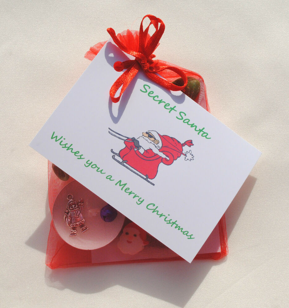 Secret Santa Gift Ideas For Boys
 Novelty Christmas Gifts Secret Santa t Survival Kit