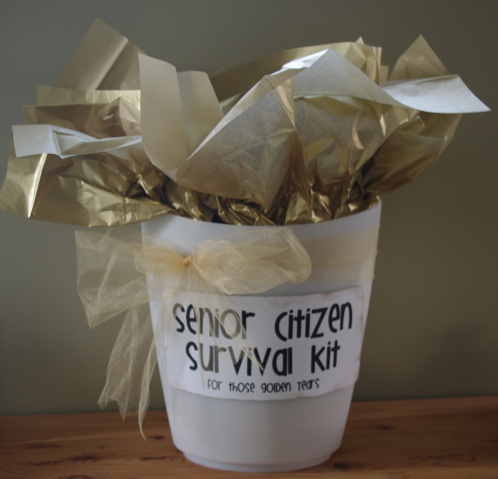 Senior Birthday Party Ideas
 Creative "Try"als Senior Citizen Survival Kit