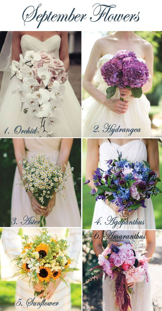 September Wedding Colors Themes
 September flower September and Wedding blog on Pinterest