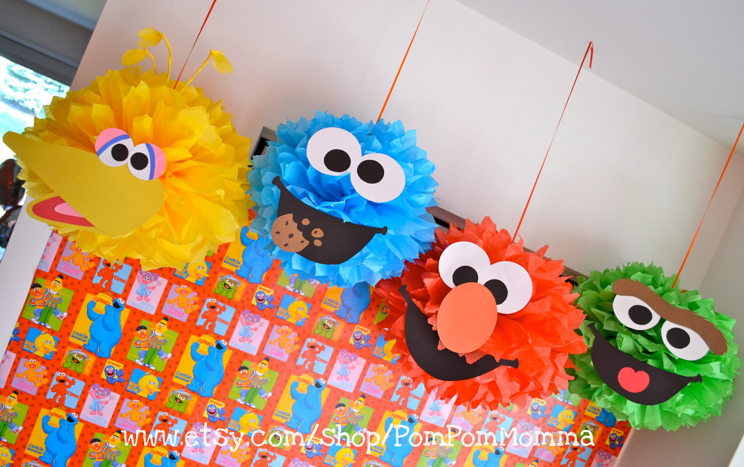 Sesame Street Birthday Decorations
 Sesame Street Inspired Party Poms