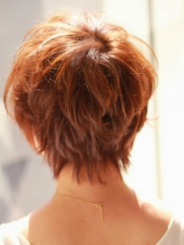 Short Haircuts Front And Back
 Short Hairstyles Back View Newest