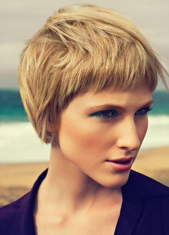 Short Layered Hairstyle
 10 Short Layered Hairstyles Easy Haircuts for Women