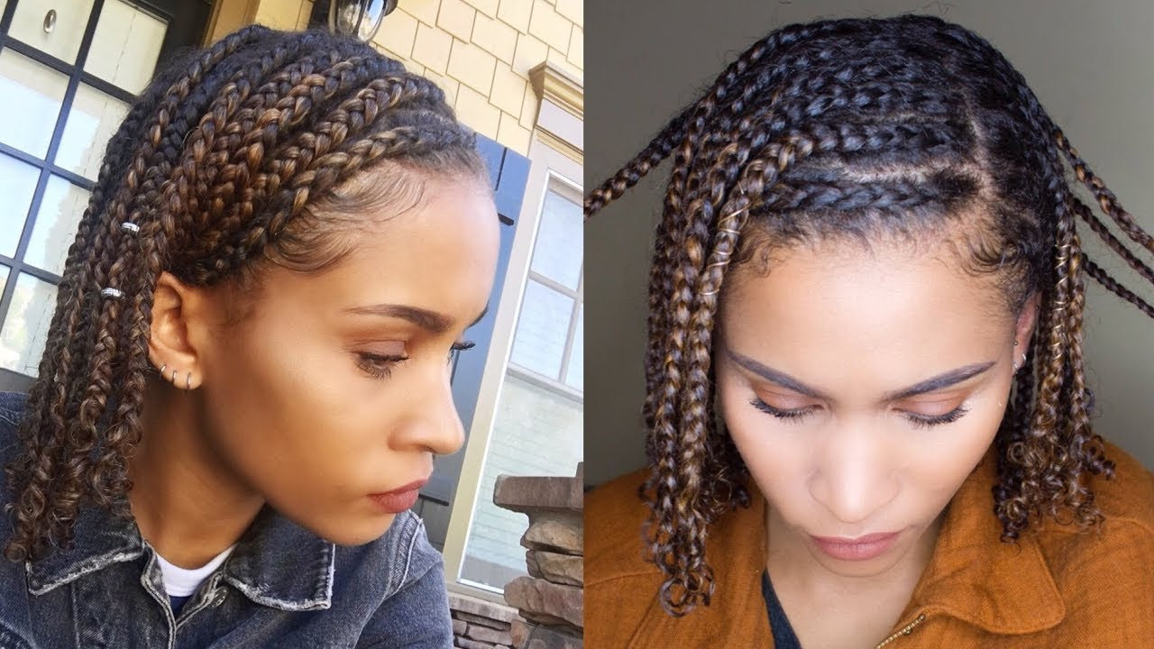 Simple Hairstyles For Natural Hair
 Mini BRAIDS Easy Protective Style for NATURAL HAIR