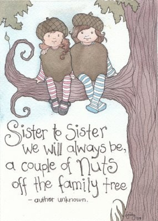 Sisterhood Quotes Funny
 25 Emotive Quotes About Sisters