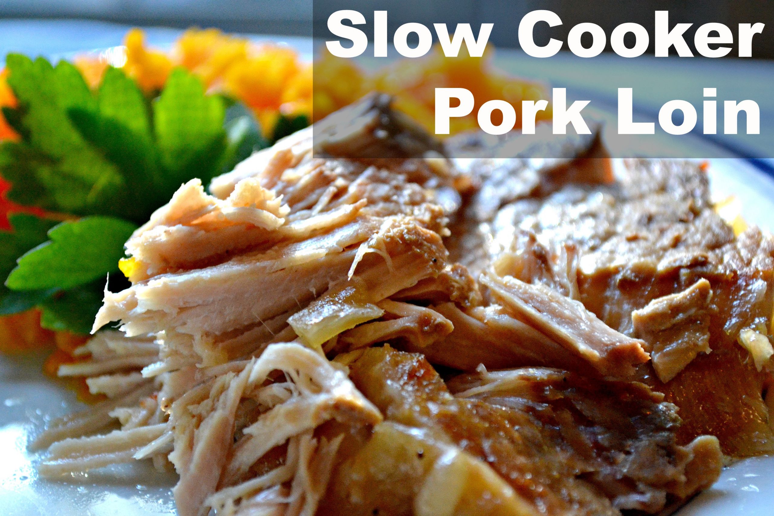 Slow Cook Pork Loin In Oven
 Two Slow Cooker Pork Loin Recipes Blissfully Domestic