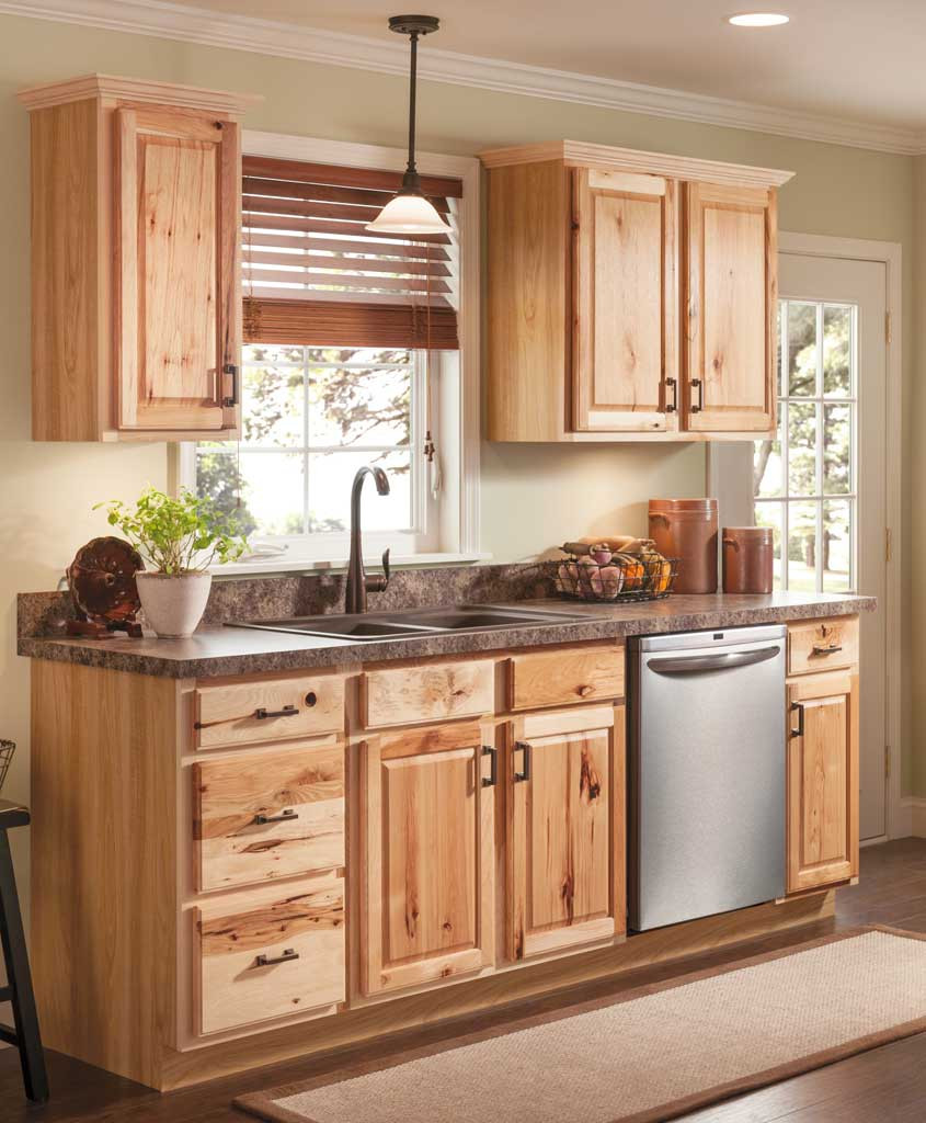 Small Kitchen Cupboard
 5 Unfinished Cabinet Doors Ideas