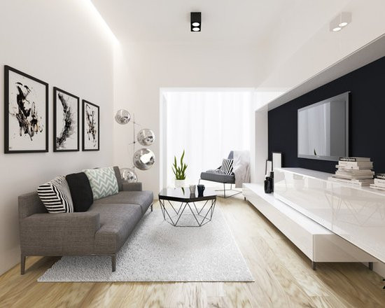 Small Modern Living Room
 Small Modern Living Room Design Ideas Remodels & s