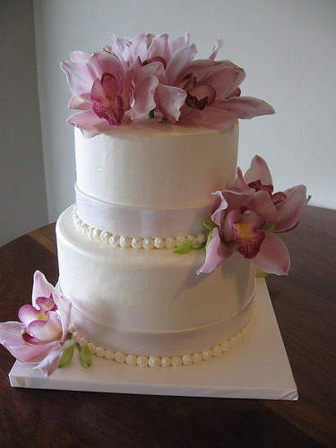 Small Simple Wedding Cakes
 Small Square Wedding Cakes Ideas Small Square Wedding