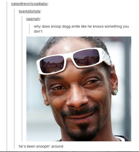 Snoop Dogg Funny Quotes
 Snoop Dogg Funny Quotes QuotesGram