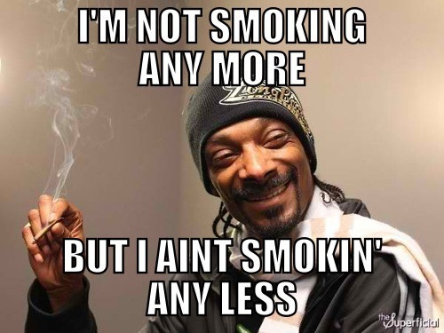 Snoop Dogg Funny Quotes
 The History of Stoner Memes All Things Dank