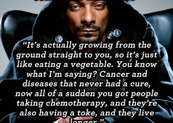 Snoop Dogg Funny Quotes
 Classic Stoner Weed Memes & Marijuana Quotes All Weed Memes