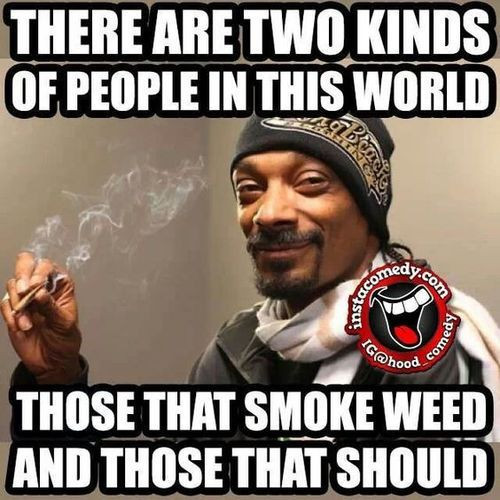 Snoop Dogg Funny Quotes
 Pin on cannalove