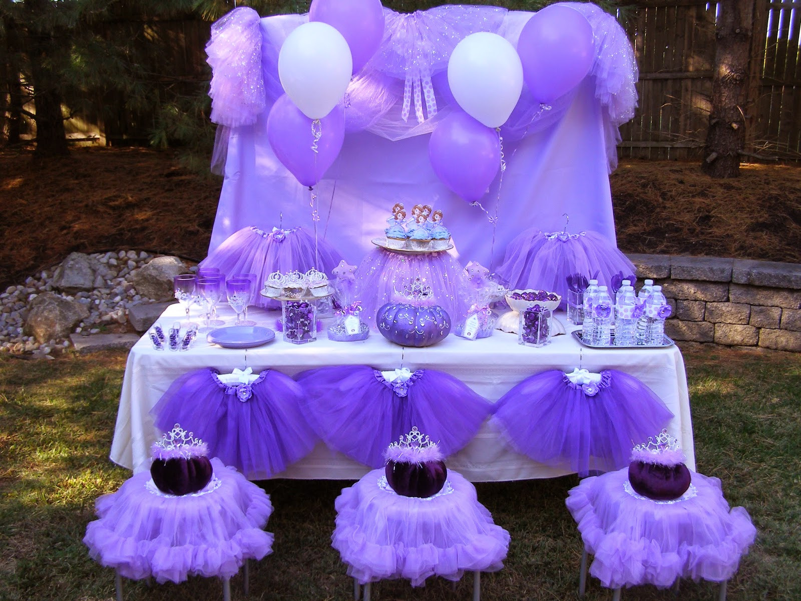 Sofia Birthday Party
 The Princess Birthday Blog Introducing Our New Little