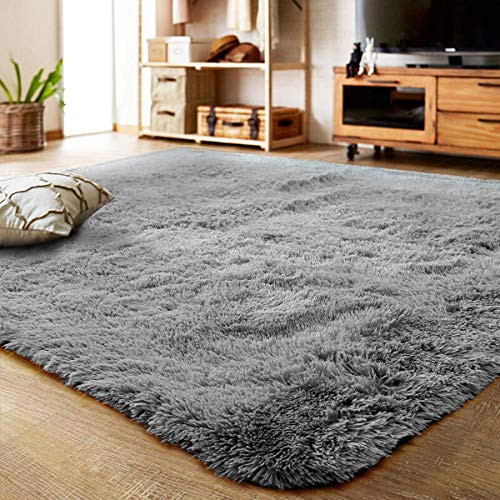 Soft Rugs For Living Room
 Fluffy Rugs Amazon