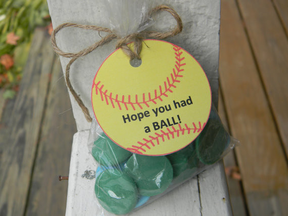 Softball Birthday Party Ideas
 SOFTBALL goo bags with tags set of 10 softball theme