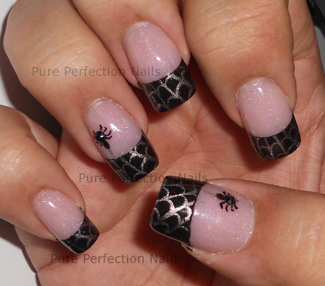 Spider Web Nail Art
 Pure Perfection Nails Spider Web French Stamping Nail Art