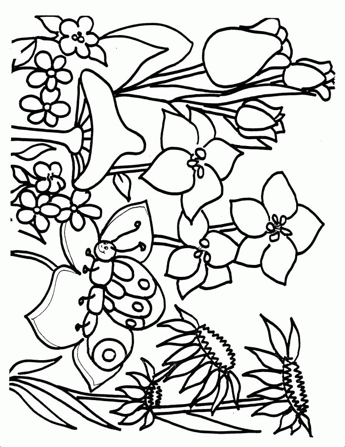 Spring Coloring Pages For Toddlers
 flower Page Printable Coloring Sheets