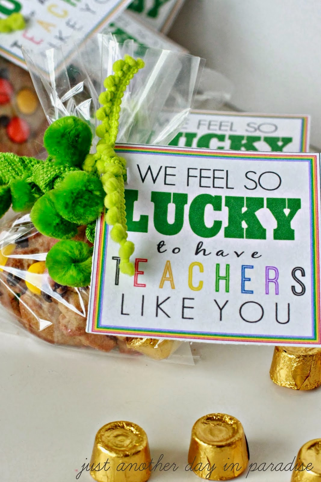 St. Patrick's Day Gifts
 Larissa Another Day St Patrick s Day Teacher