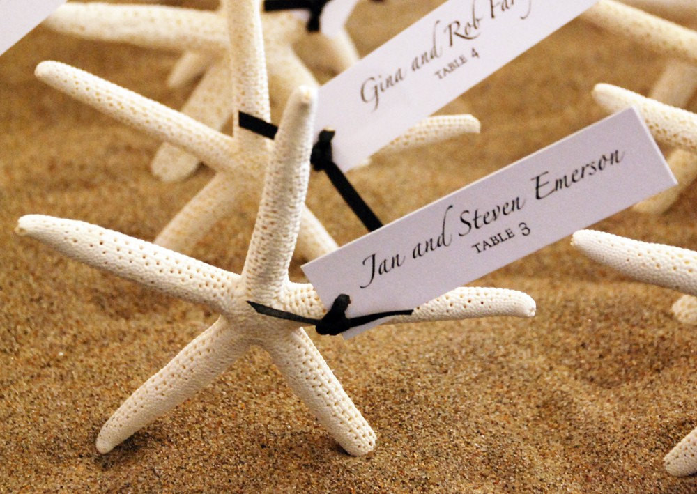Starfish Wedding Favors
 starfish escort cards or wedding favors