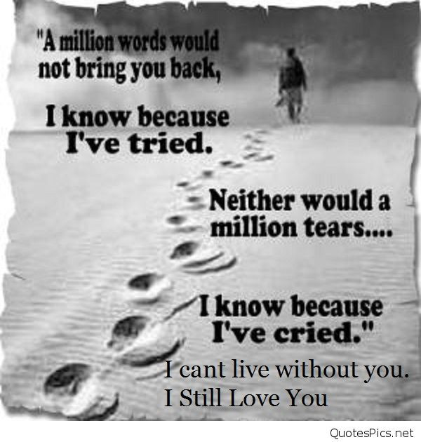 Still In Love Quote
 Amazing I still love you quotes