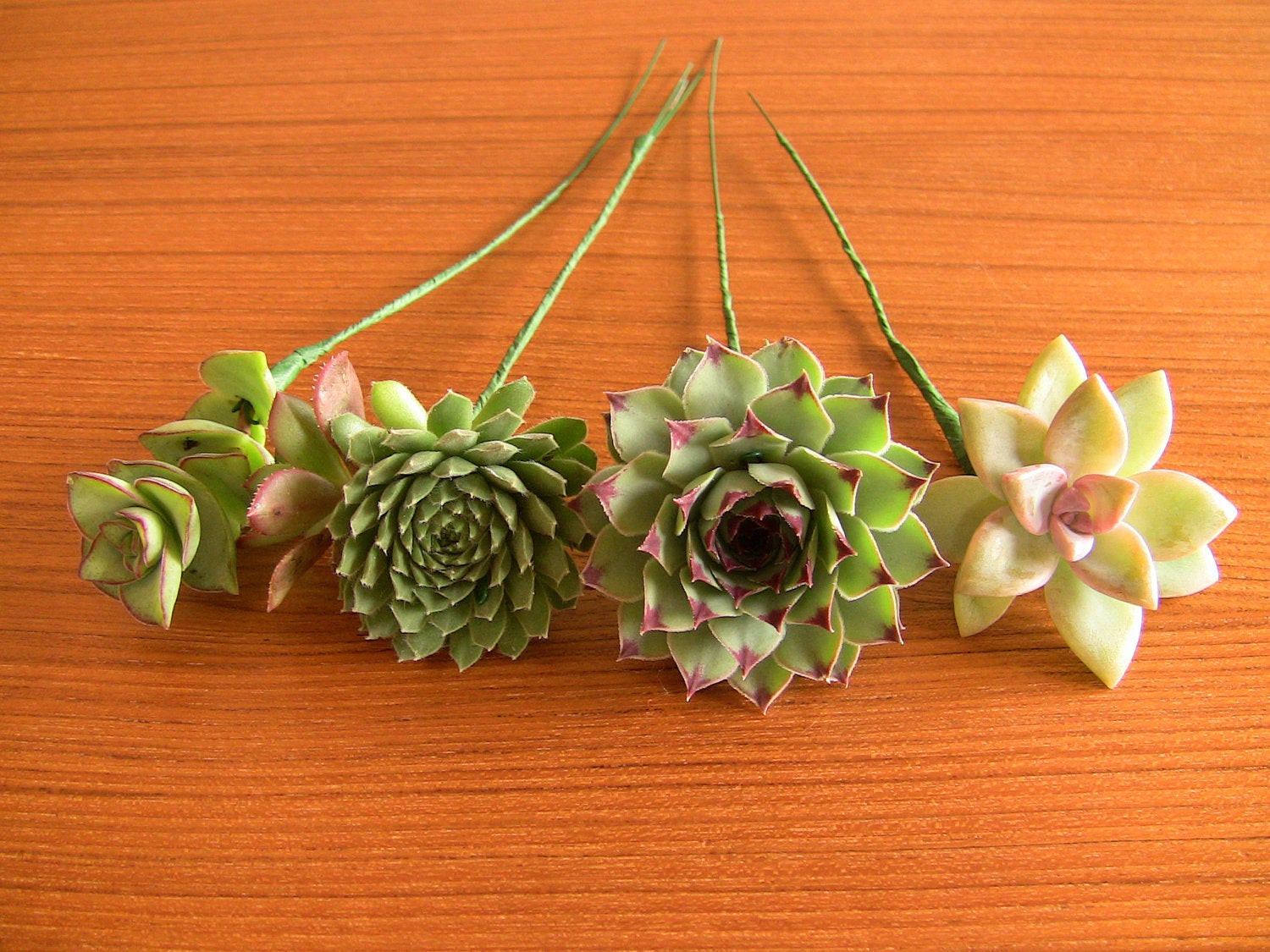 Succulent Wedding Bouquet DIY
 16 Wired Succulents for DIY bouquet