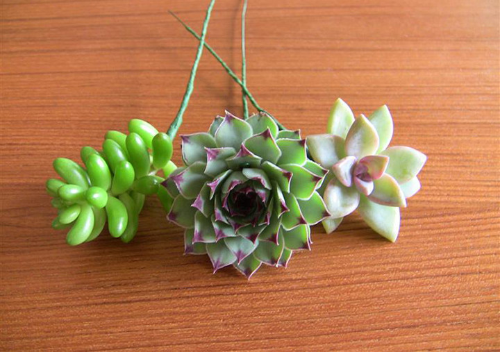 Succulent Wedding Bouquet DIY
 Succulent Wedding Bouquets Centerpieces & More