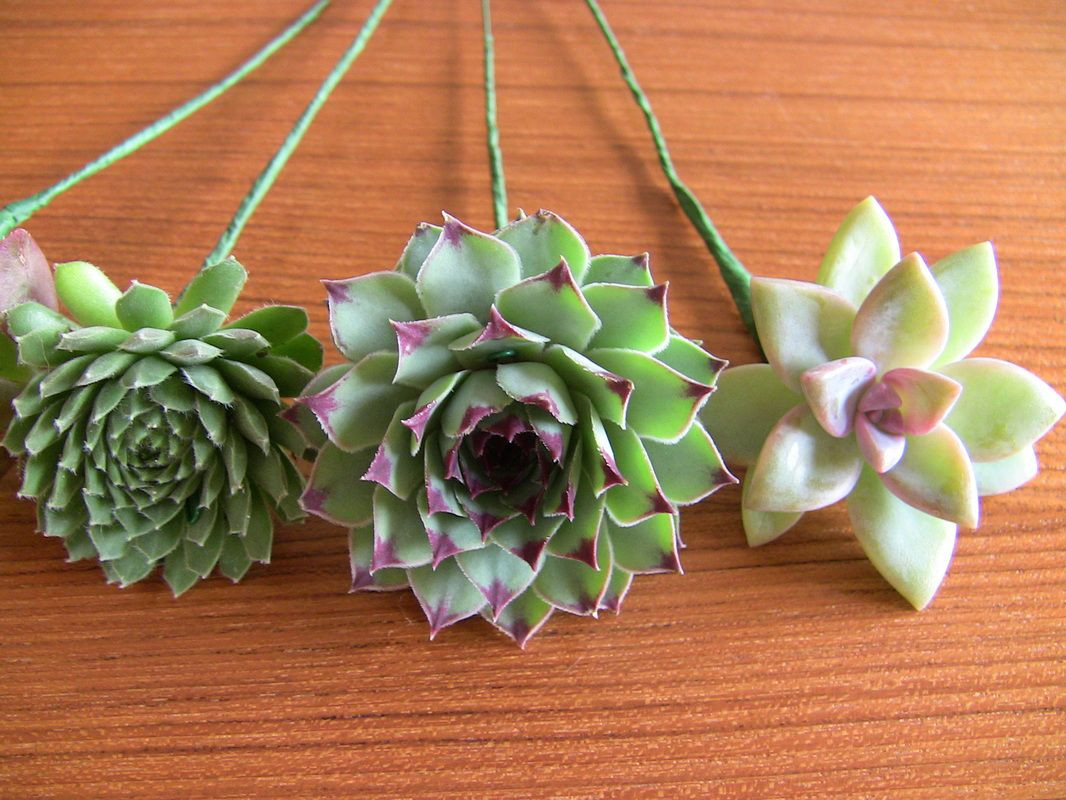 Succulent Wedding Bouquet DIY
 DIY Succulent Bouquet Succulent Wedding Bouquets