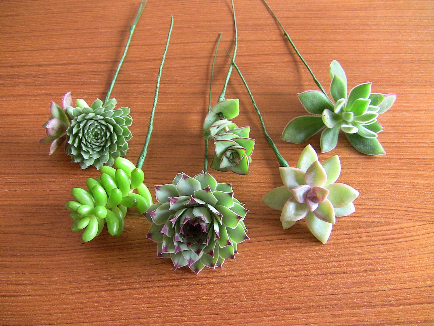 Succulent Wedding Bouquet DIY
 DIY Wedding Bouquet DIY Succulent bouquet