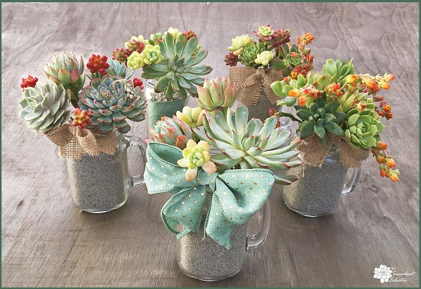 Succulent Wedding Bouquet DIY
 DIY Succulent Bouquet in Mason Jar Mugs