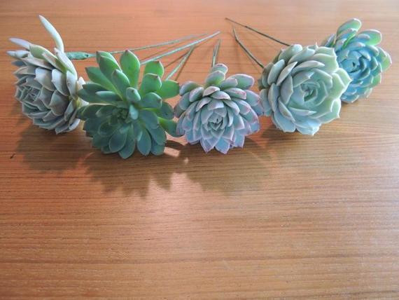 Succulent Wedding Bouquet DIY
 Wired succulent for DIY wedding bouquets