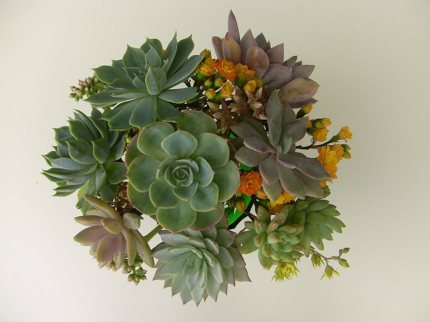 Succulent Wedding Bouquet DIY
 DIY Wedding Bouquet DIY Succulent bouquet