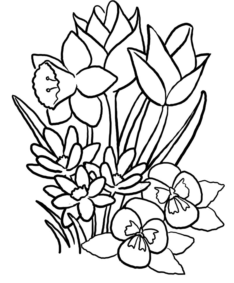 Summer Coloring Pages For Older Kids
 Free Summer Coloring Pages Printable
