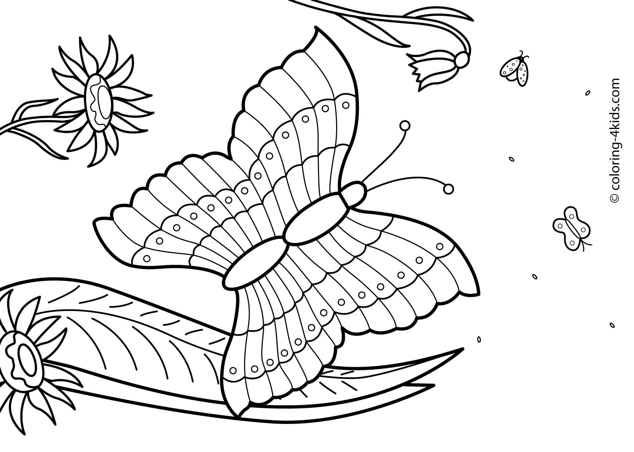 Summer Coloring Pages For Toddlers
 27 Summer season coloring pages part 2