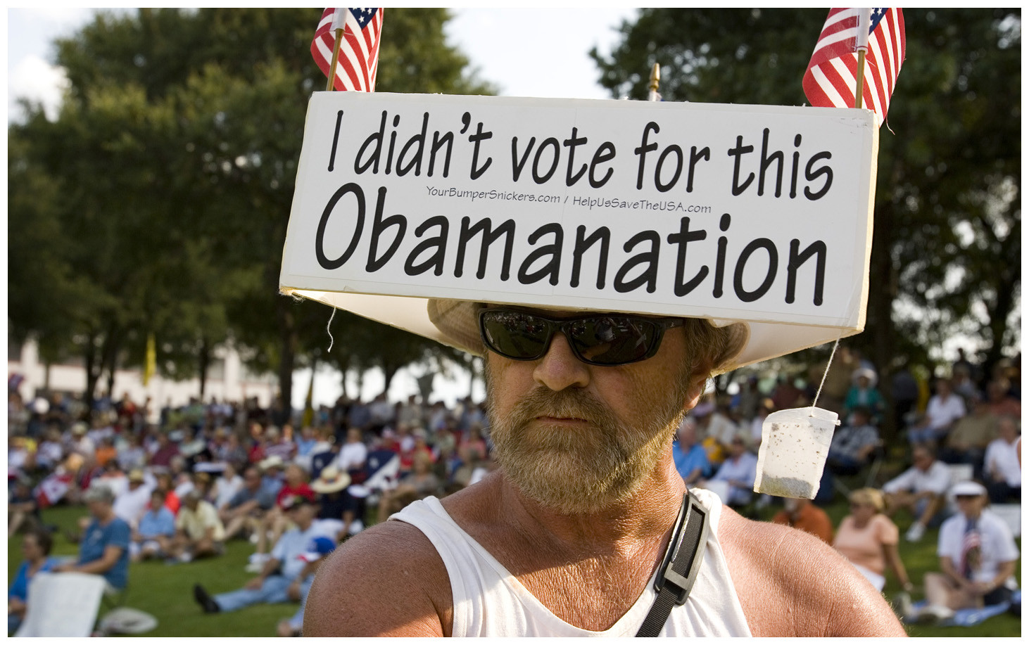 Tea Party Ideas Political
 Role of the TEA Party in American politics