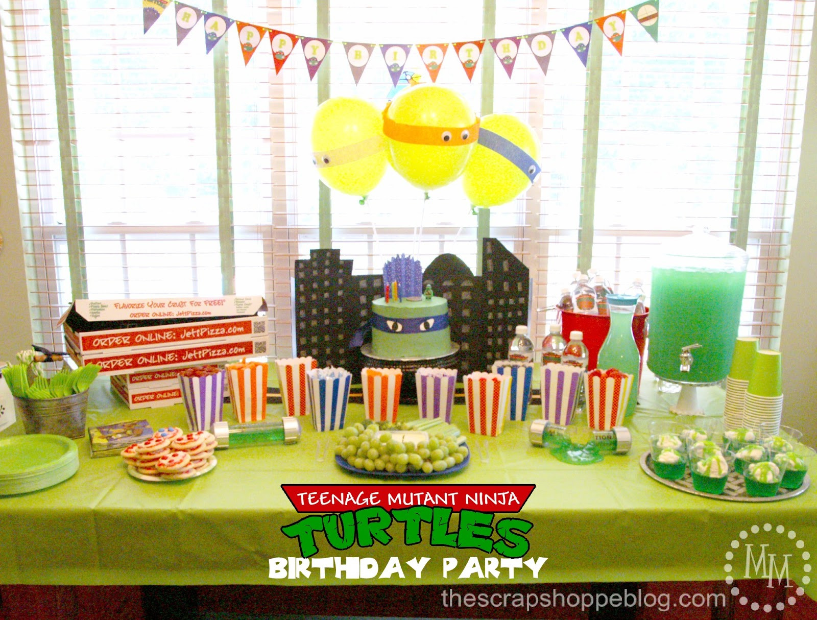 Teenage Mutant Ninja Turtle Birthday Party
 Teenage Mutant Ninja Turtle TMNT Birthday Party The